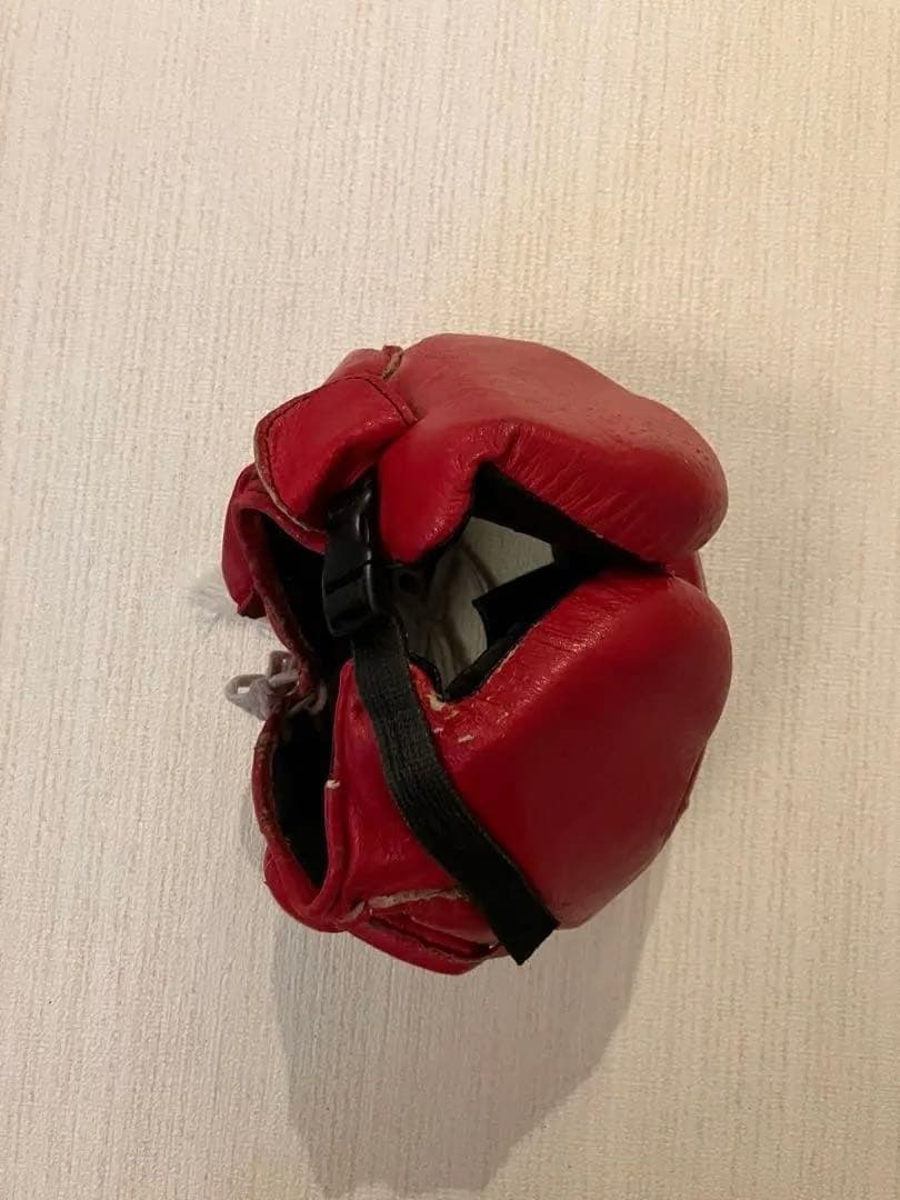 Winning ヘッドギア フルフェイスタイプ レッド M FG-2900