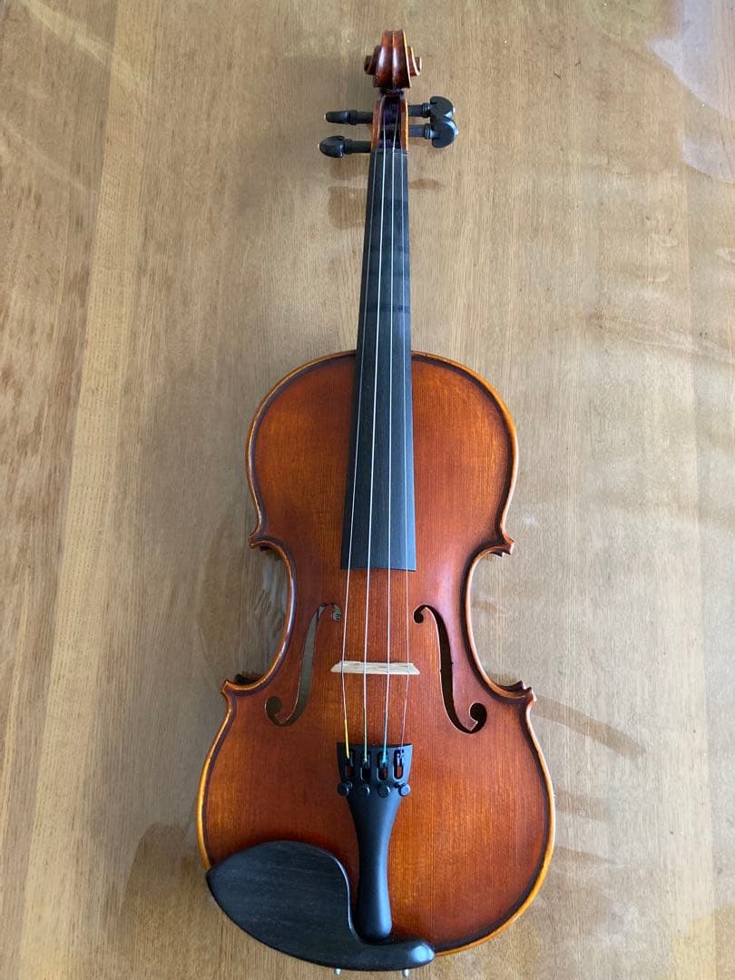 Gliga CRISTIAN GAMA バイオリン 4/4 1枚板