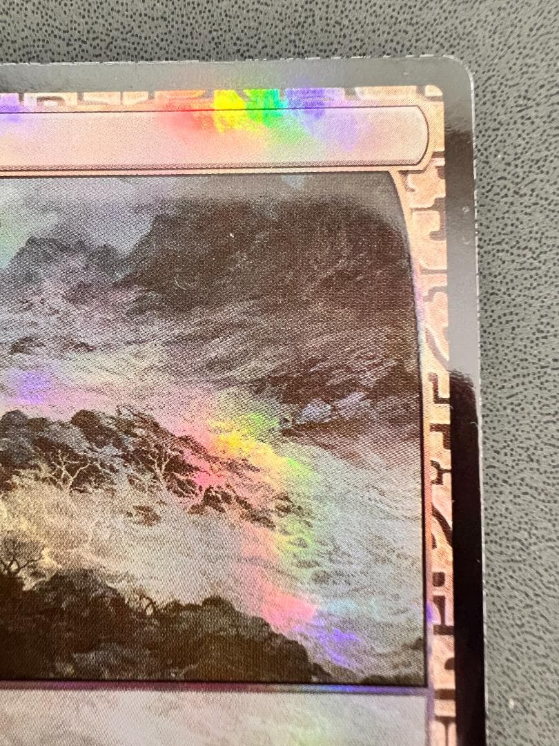 foil「EXP」不毛の大地/Wasteland　英語１枚