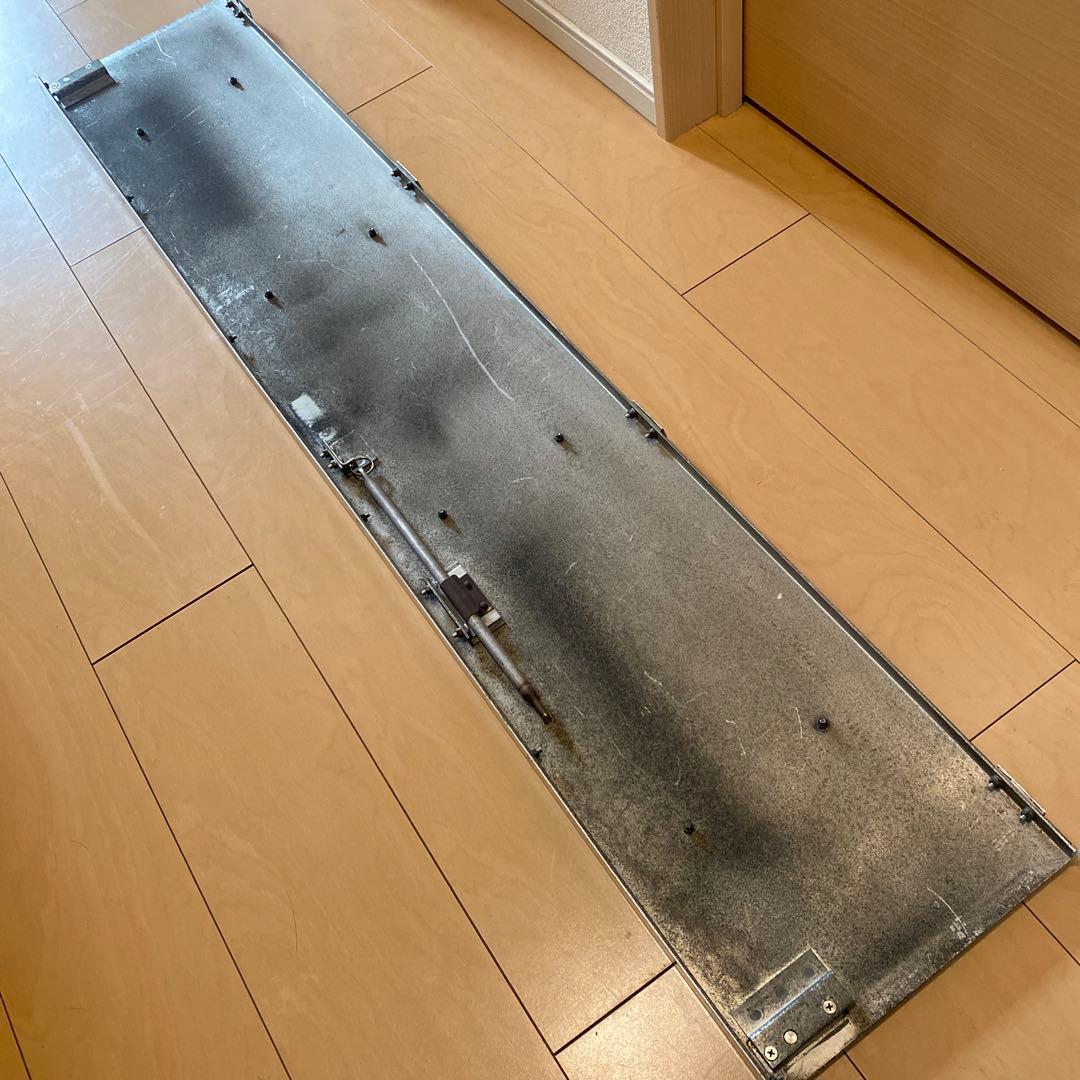 【珍】JR西日本 201系 鴨居