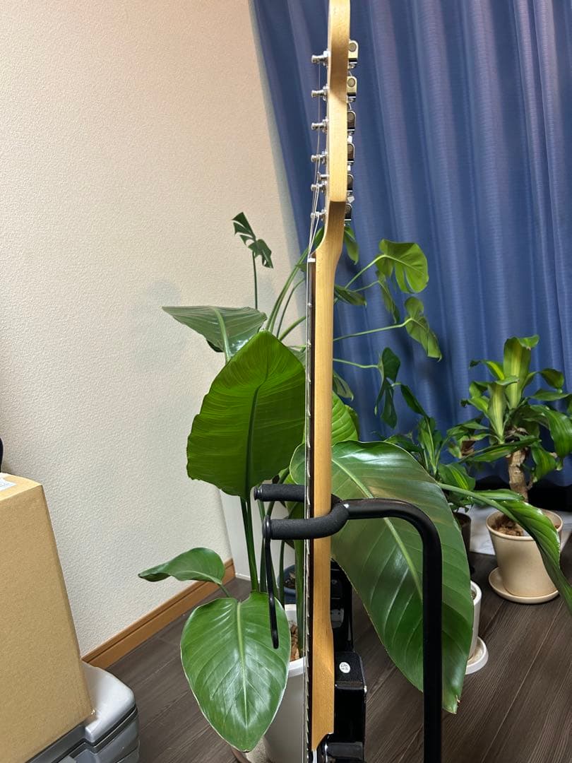 Squier ストラトキャスター ブラック