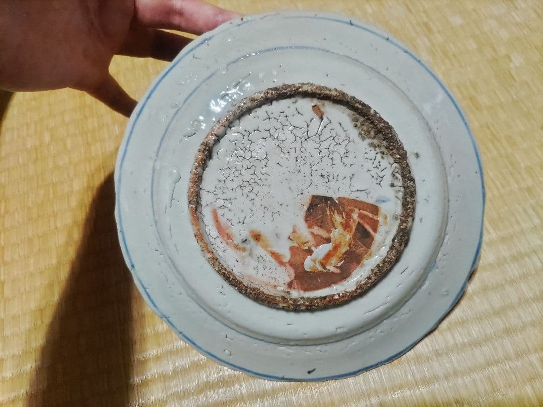 中国　古染付　鹿絵皿（23㎝）漳州窯　美品