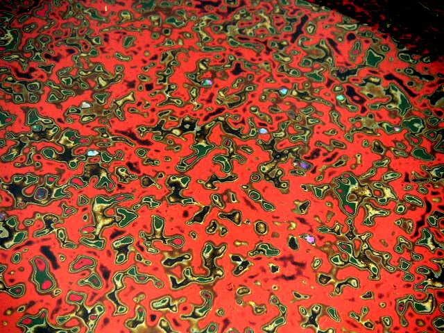 ♥未使用　若狭塗　お盆　φ３３５ｍｍ