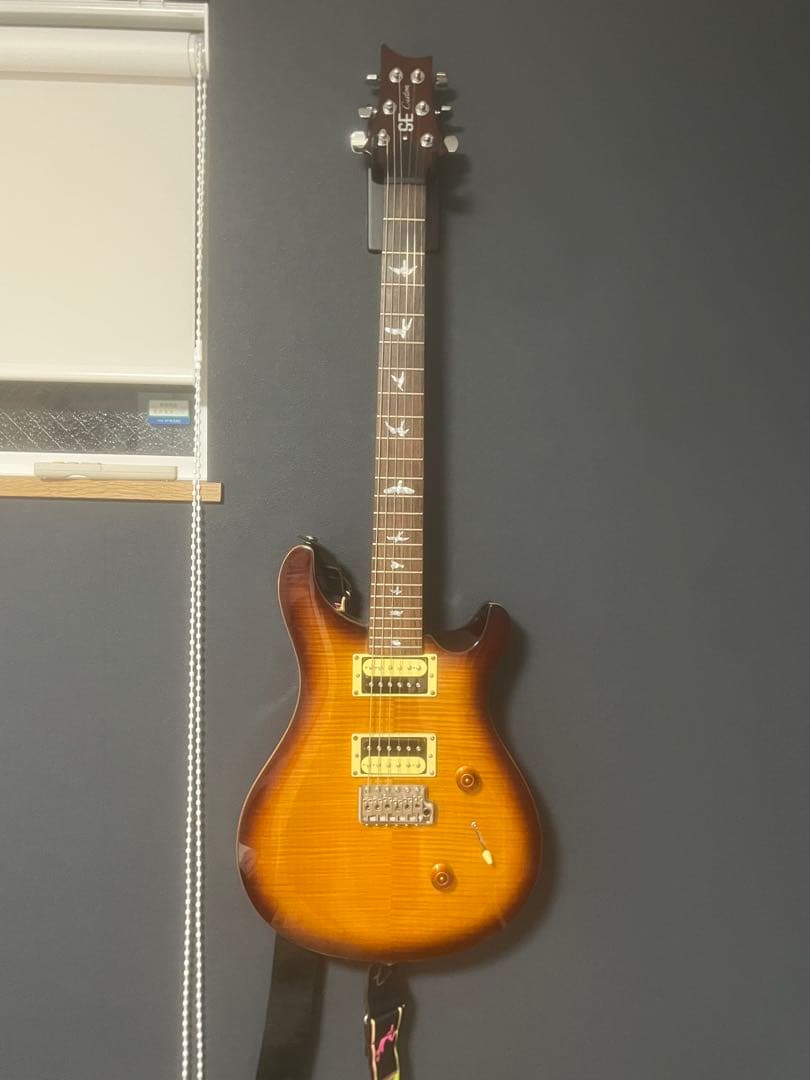 ギター prs se custom24