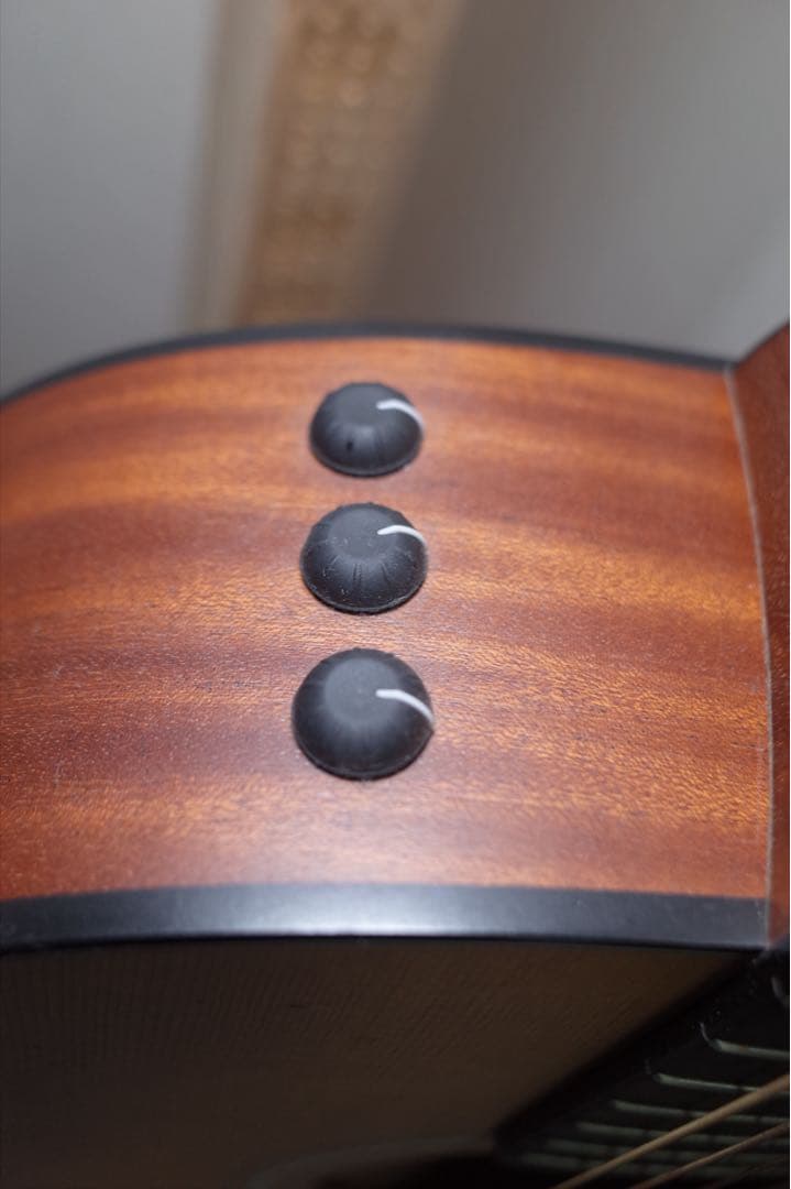 Taylor 114e アコースティックギター ギターケース付き 保証書あり