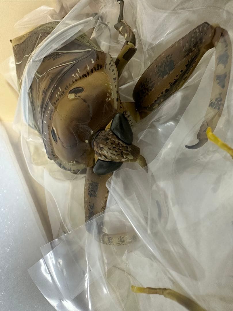 海洋堂 リボジオ　タガメ 未開封