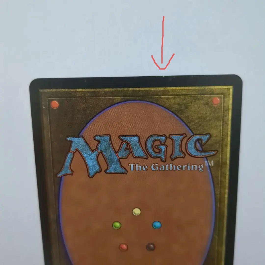 MTG 適者生存　日本語版1枚