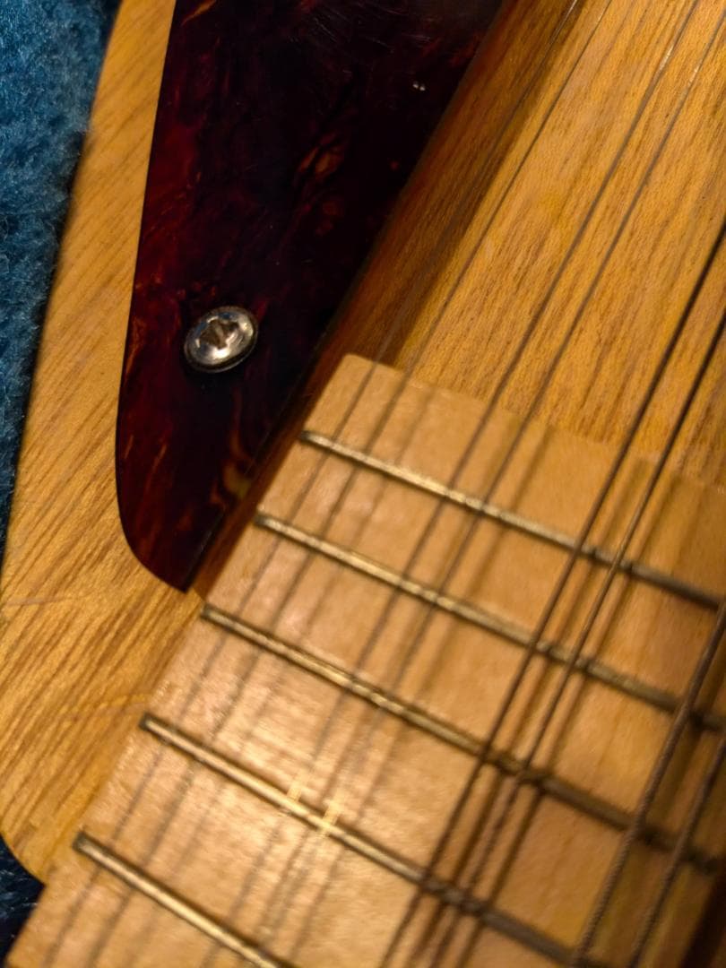 初心者用フラットマンドリン（1990年代製作）専用ハードケース付