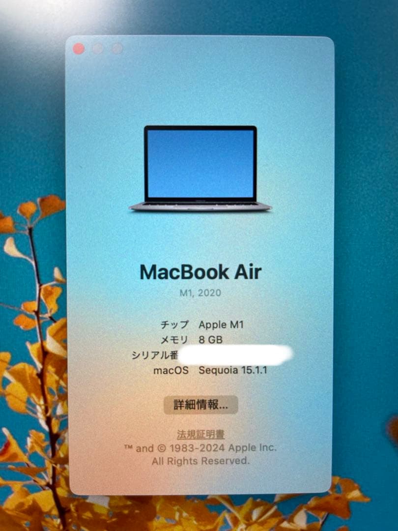 【屋内使用のみ】Apple MacBookAir M1 8GB256GBハブ付き