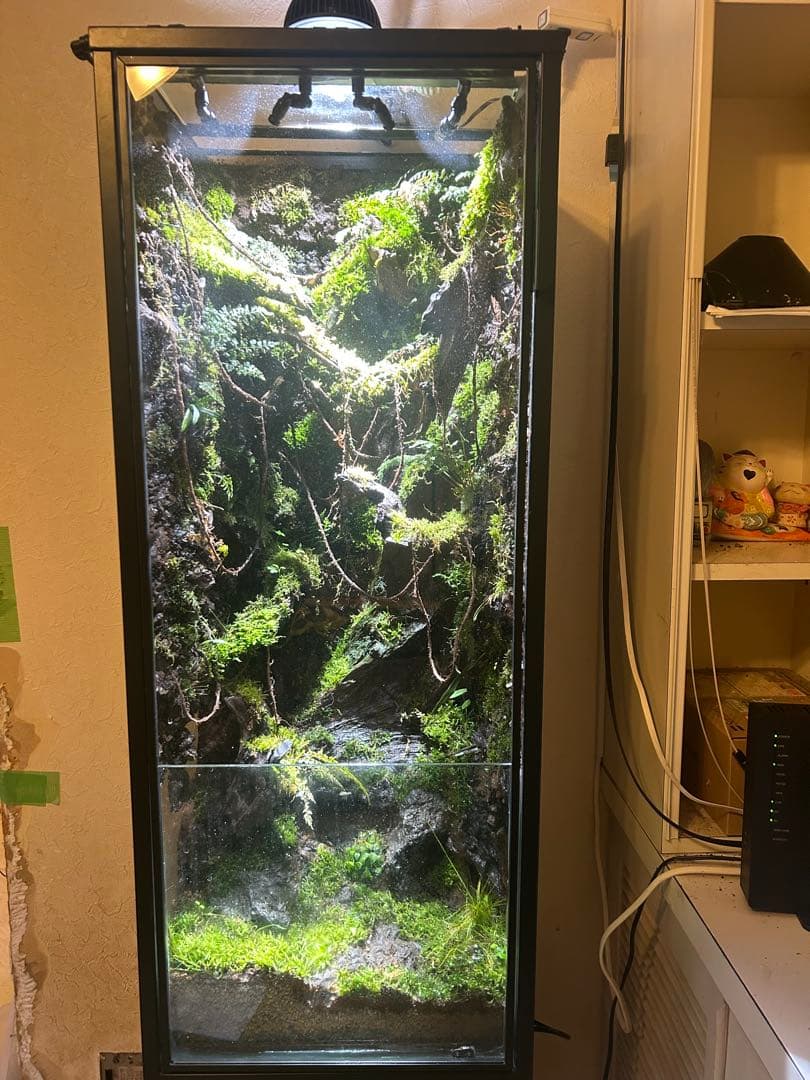 巨大テラリウム　縦型