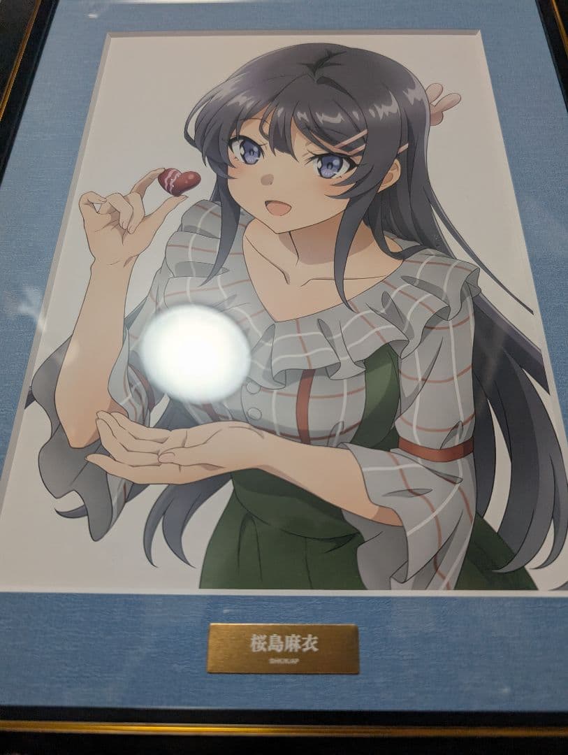 青春ブタ野郎はバニーガール先輩の夢を見ない 桜島麻衣 キャラファイングラフ