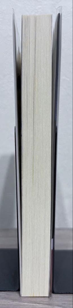 リゼロ特典小説　Re:IFから始める異世界生活ゼロカラカサネルイセカイセイカツ