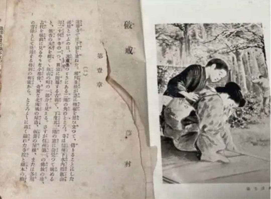 omusan専用 近代文学の金字塔　島崎藤村　破戒