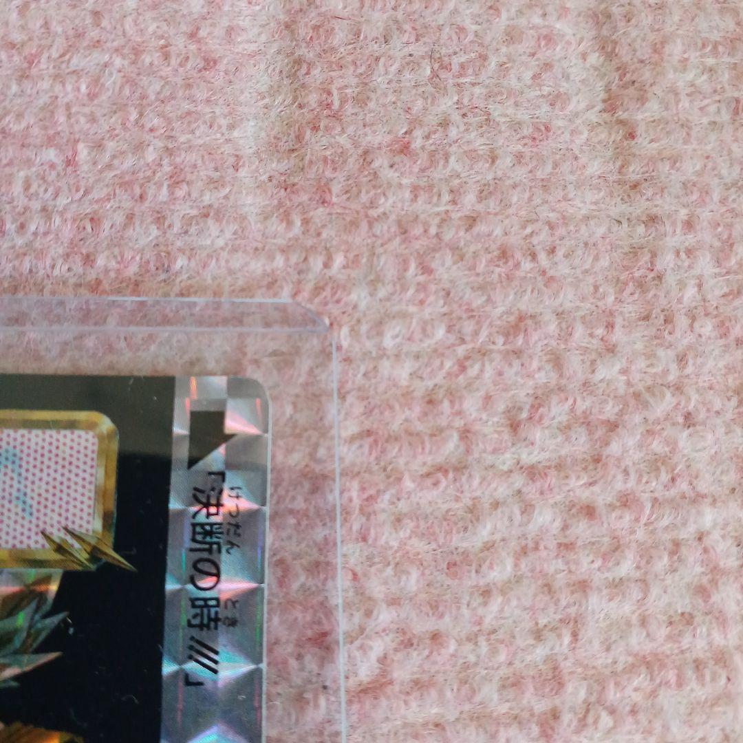 ドラゴンボール　めちゃんこプロジェクト　Ⅱ　孫悟空