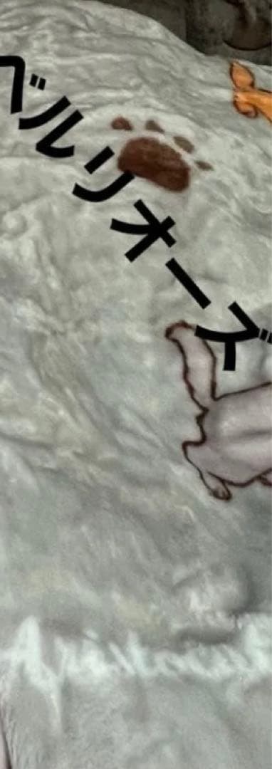 ベルリオーズ☆50cmぬいぐるみ☆コストコ☆Costco☆ディズニーDisney