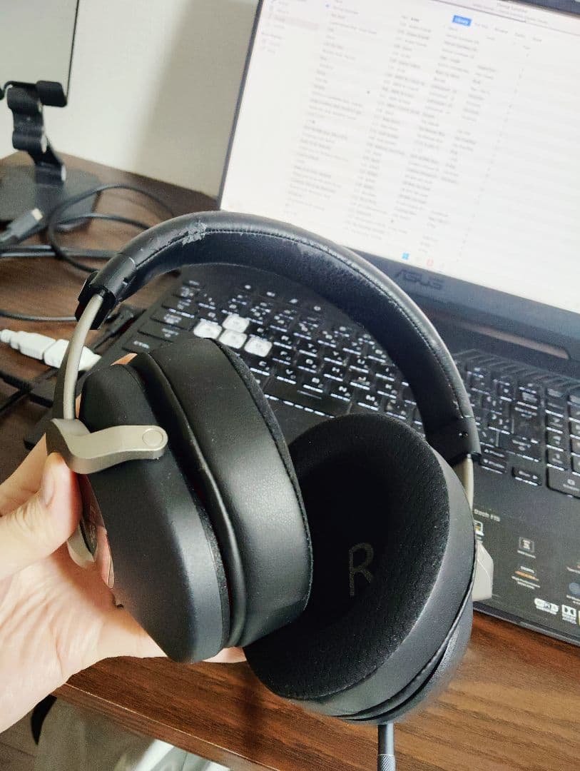 ヘッドホン Sony MDR-Z1000