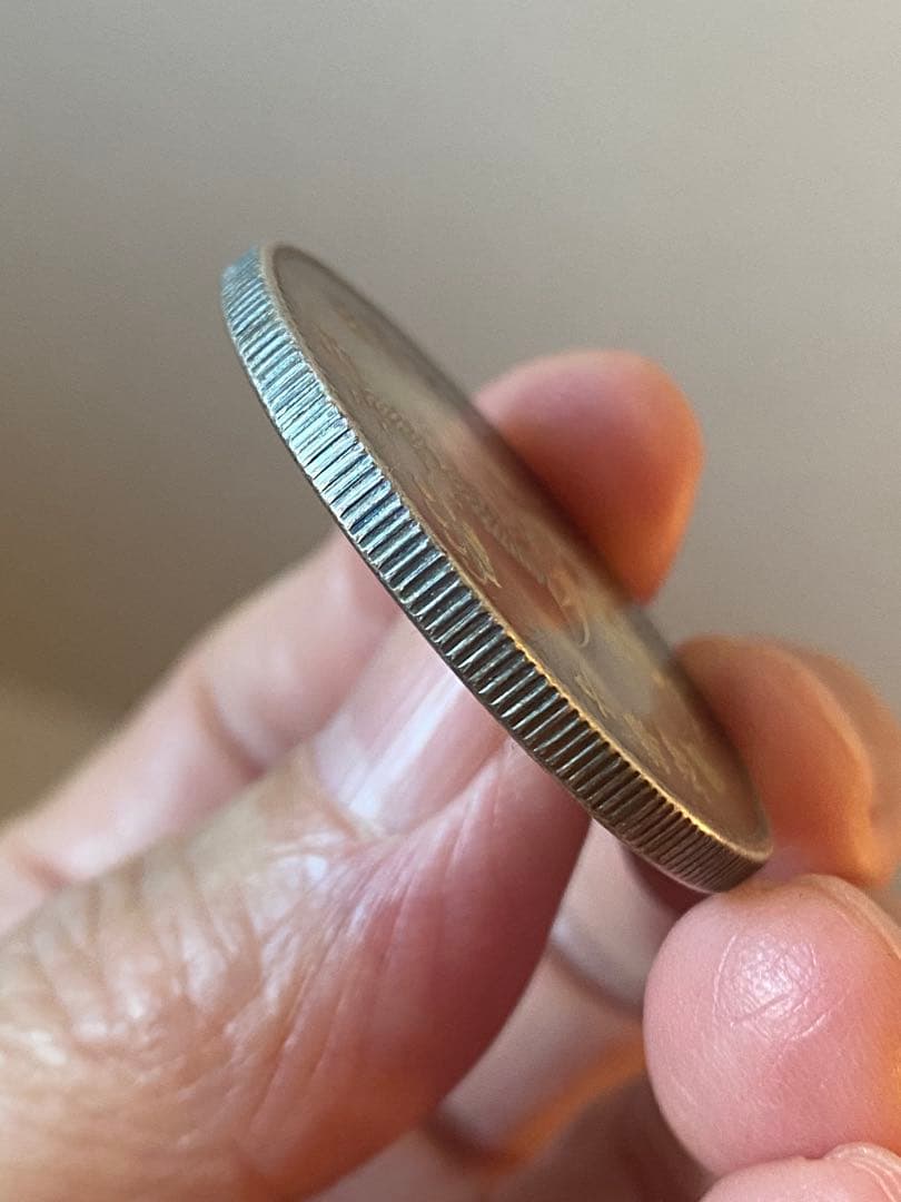 民国纪念銀貨 、飛龍、ドラゴンデザイン、