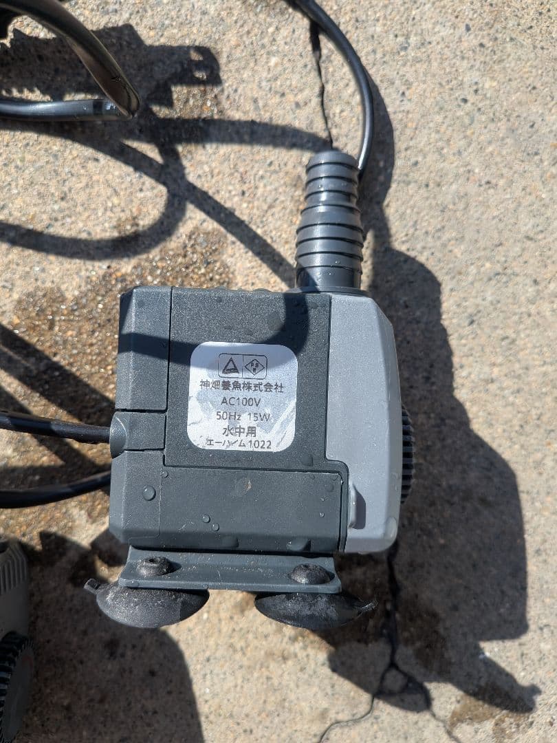 Rio 3100 エーハイム1022 50Ｈｚセット