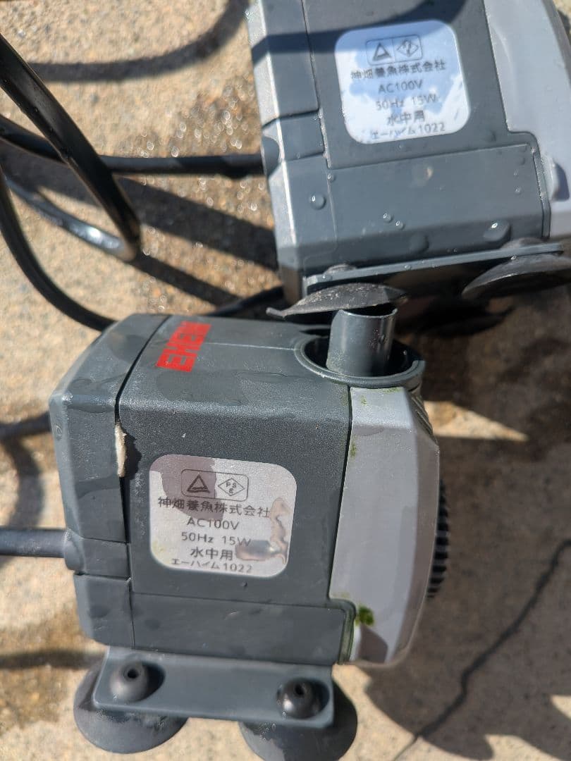 Rio 3100 エーハイム1022 50Ｈｚセット