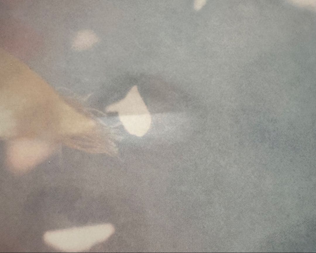 非売品　平野紫耀 ランドリン 大型ボード