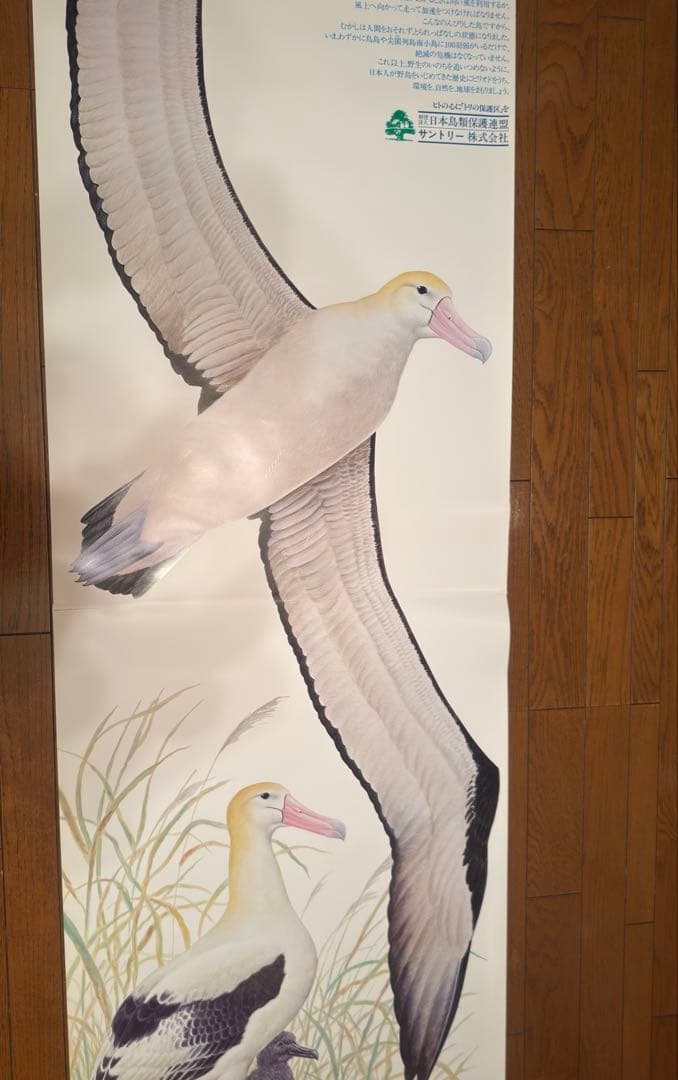 サントリー ポスター3枚セット アホウドリ イヌワシ 日本の県鳥 骨董品