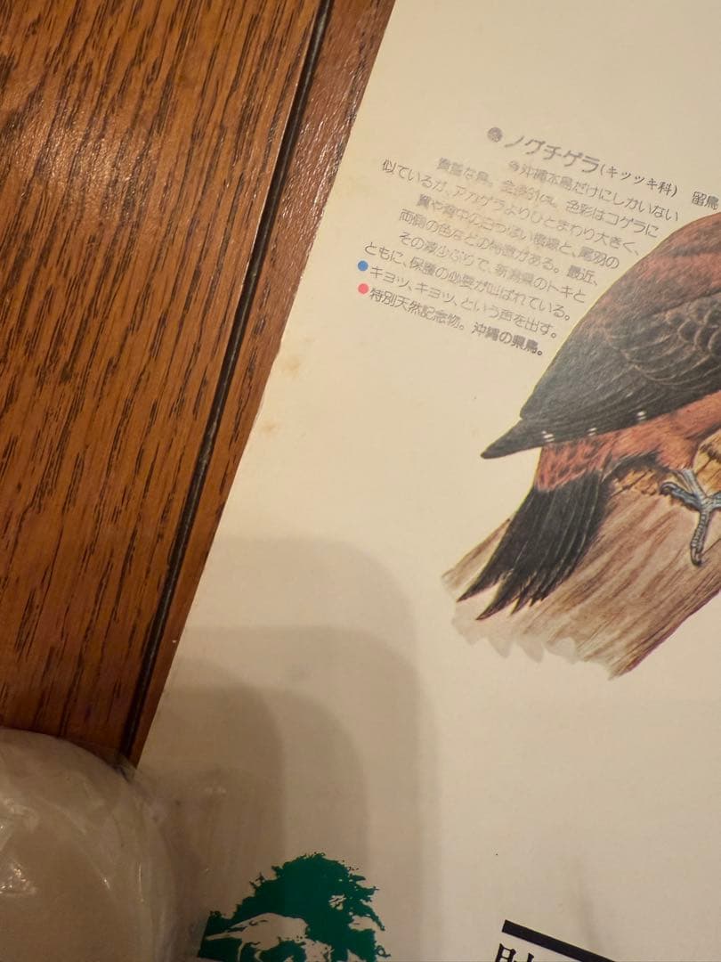 サントリー ポスター3枚セット アホウドリ イヌワシ 日本の県鳥 骨董品