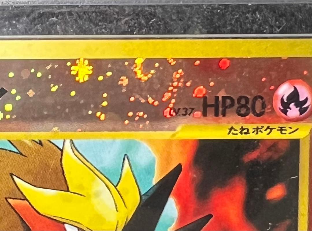 【ARS10】旧裏 エンテイ_プレミアムファイル2 PROMO 第2世代