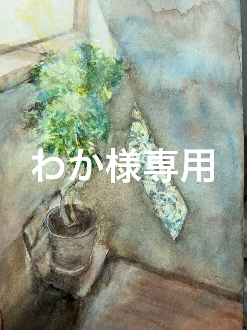 観葉植物