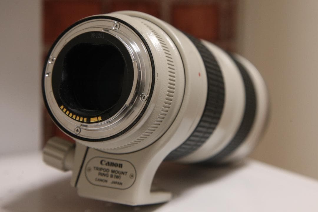 Canon EF 70-200mm f/2.8L IS USM レンズ