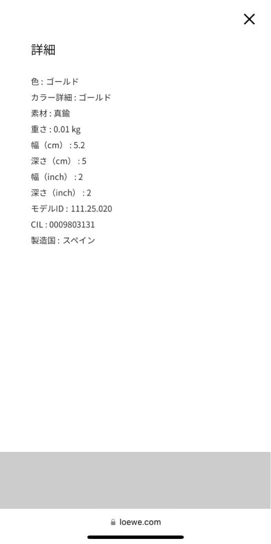 LOEWE ゴールド ロゴブローチ