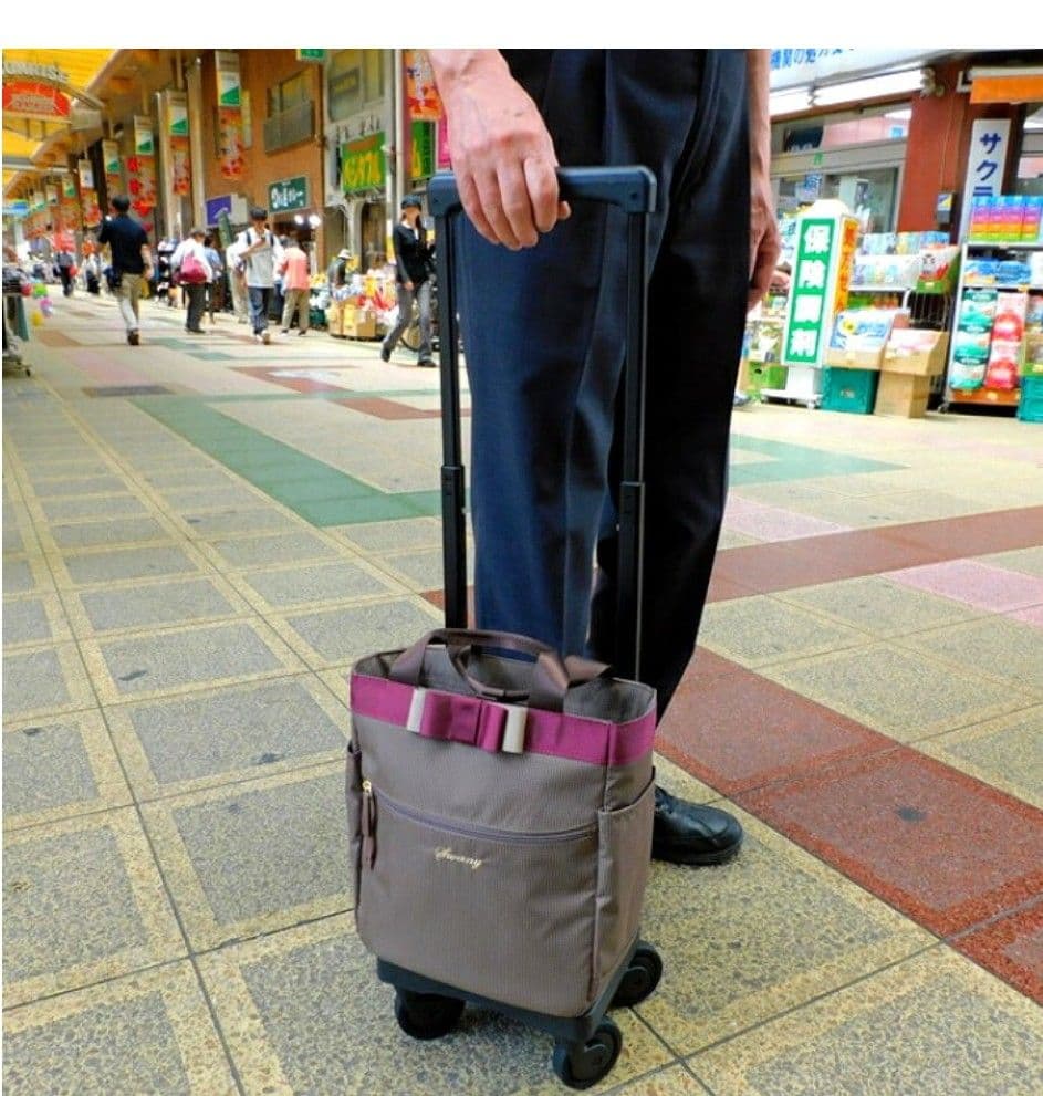 スワニー　キャリーバッグ