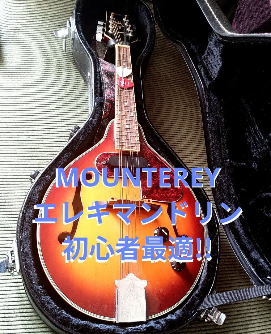 MOUNTEREY エレキマンドリン MME-203