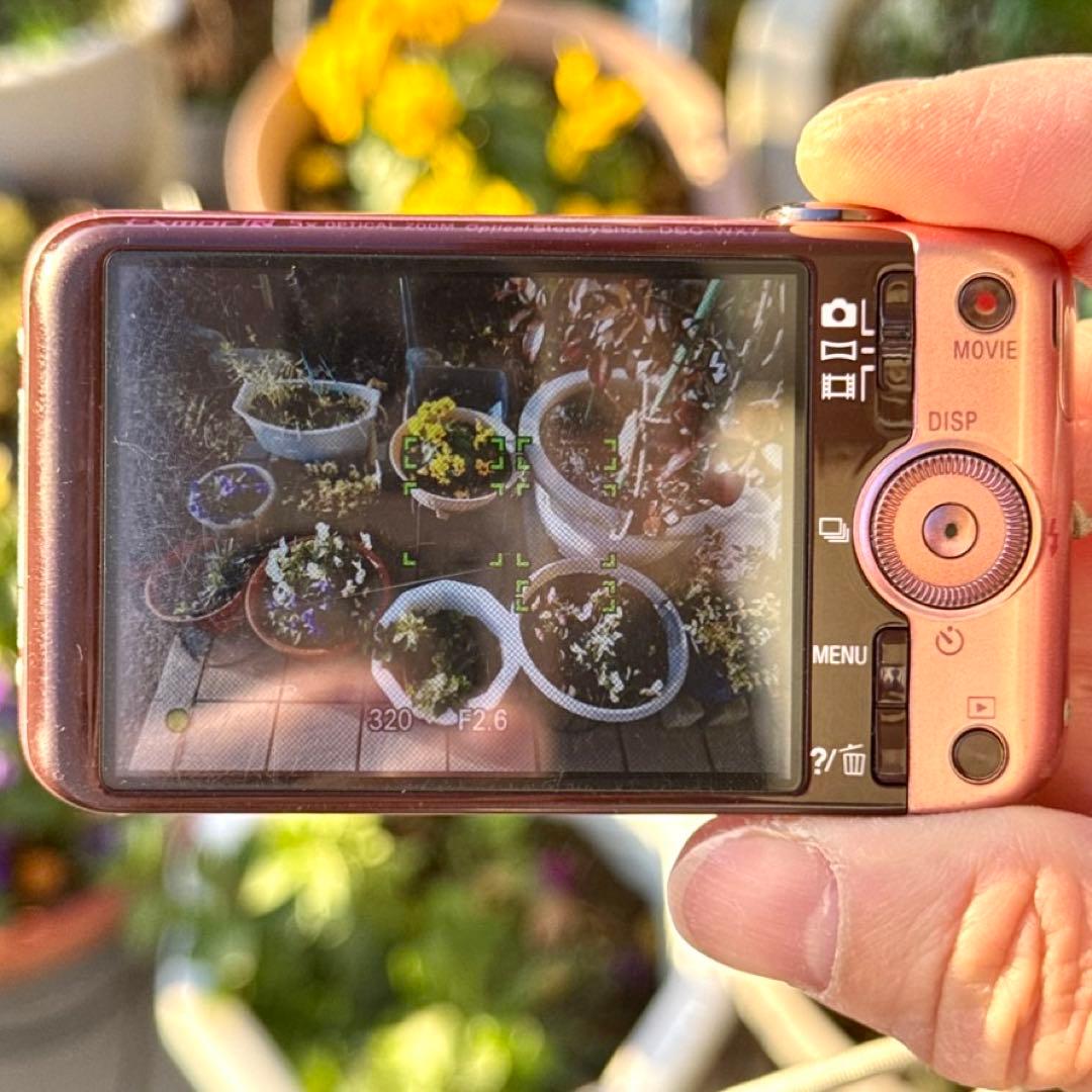 ☆動作OK SONY DSC-WX7 バッテリー&充電器&SDカード付き ピンク