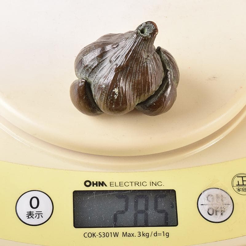 金工名品　古銅宣徳銅　大蒜　置物　紙鎮　在銘　C　8330E