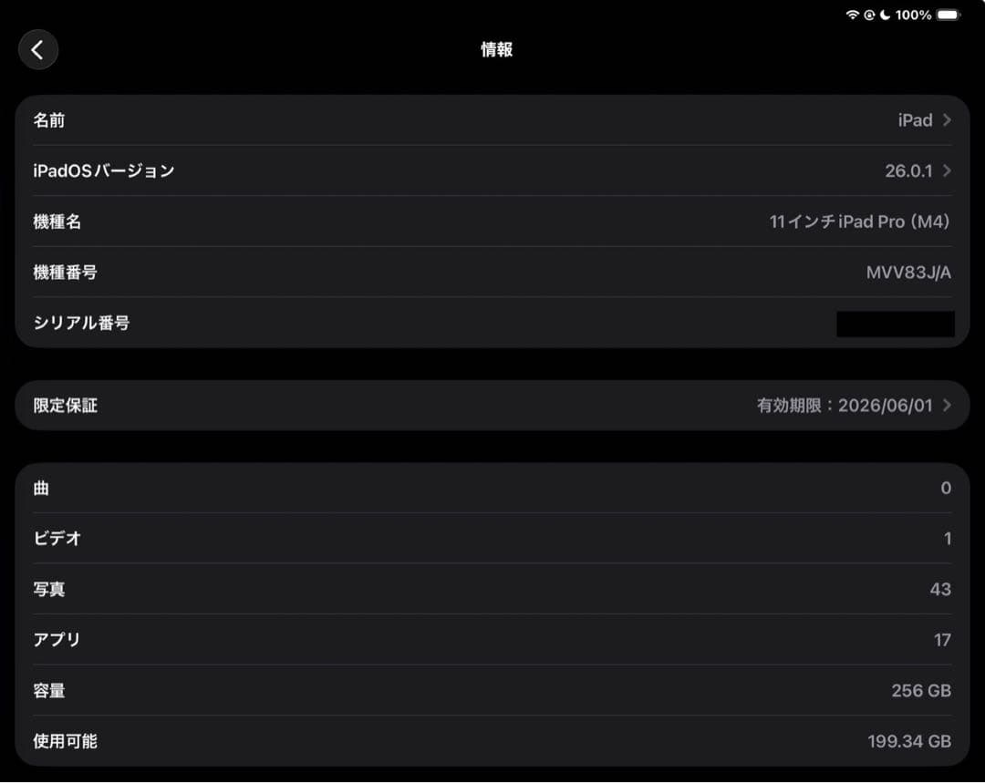 iPad Pro 11インチ (M4) 256GB Wi-Fiモデル A2836