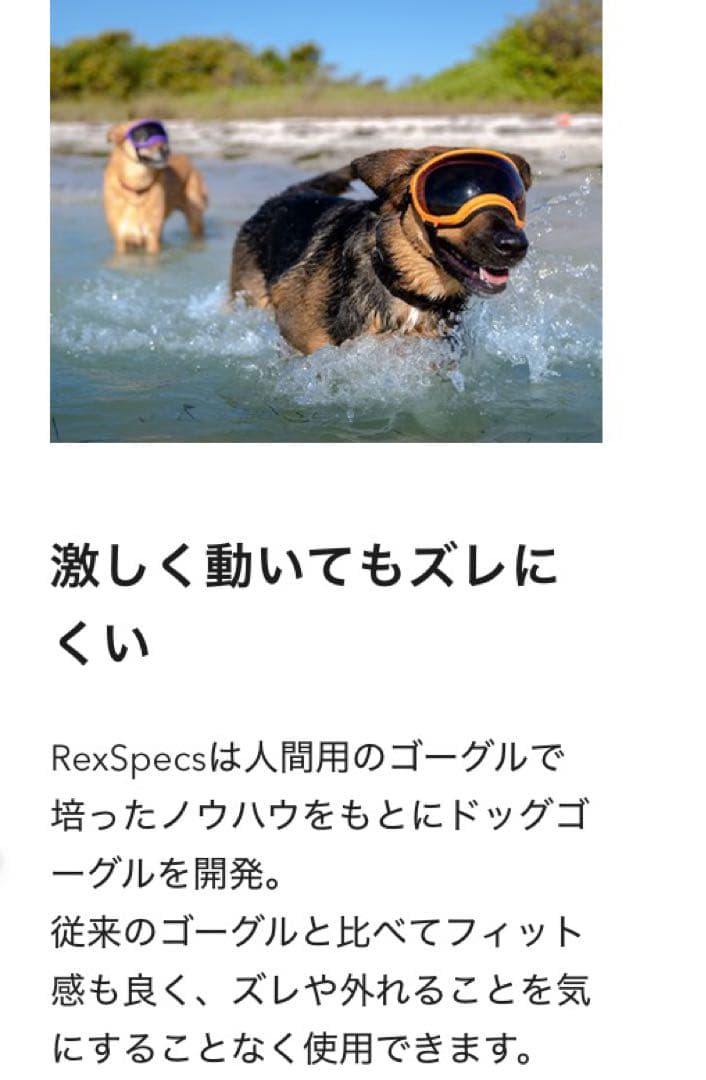 ALPHAICON アルファアイコン REXSPECS ドッグゴーグル　ブラック