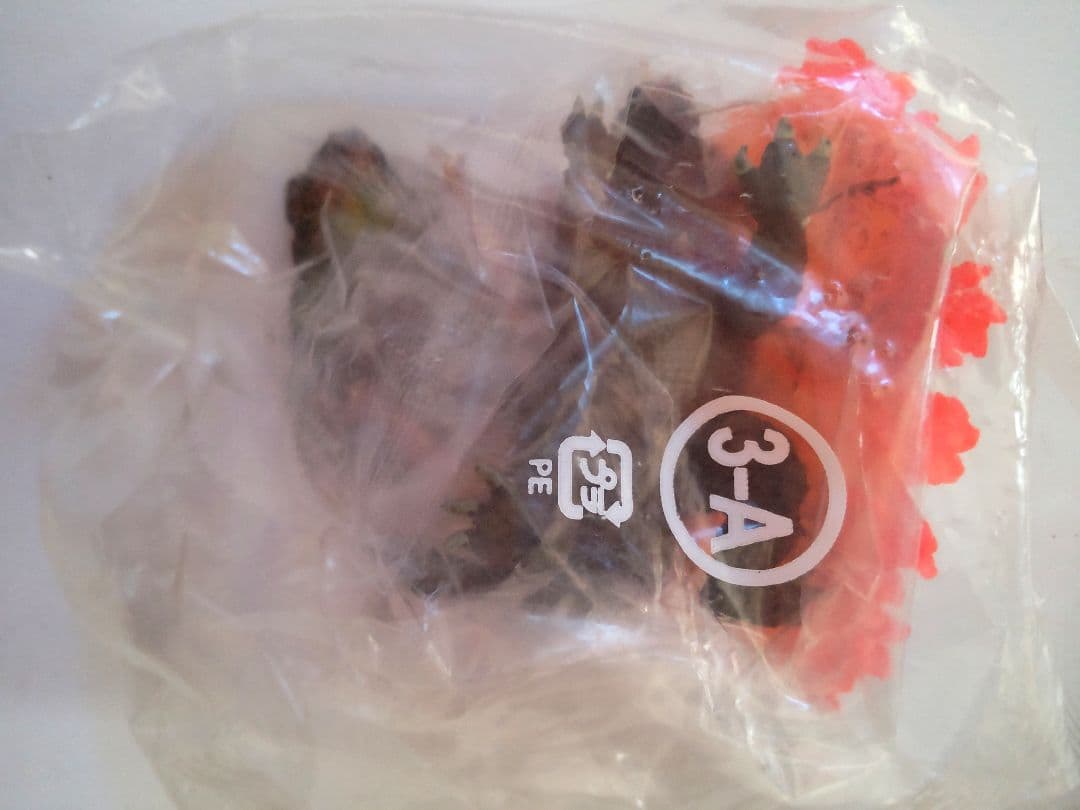 アートワークス　東宝