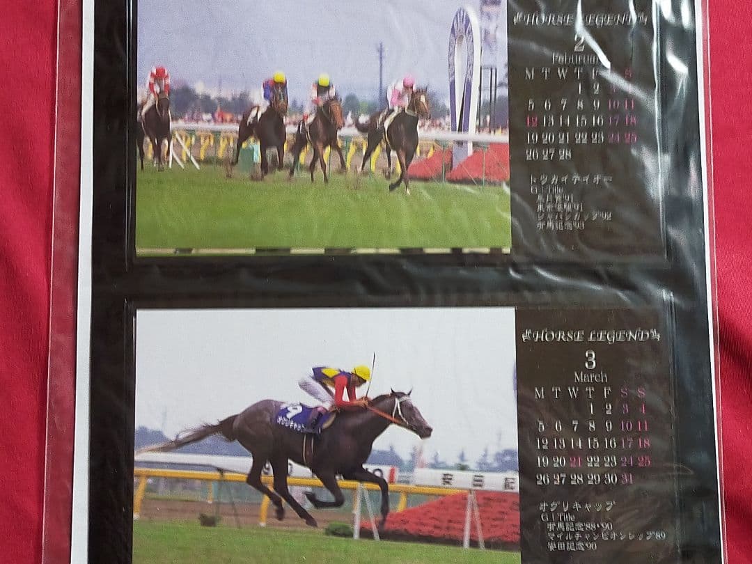 ◆　競馬　JRA　◆　ホースレジェンド　ウォールポケットコレクションカレンダー◆