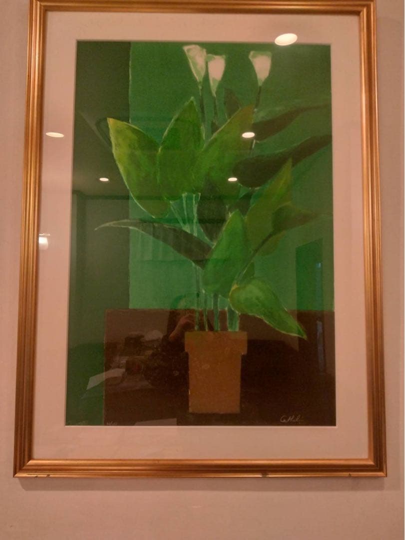 Bernard Cathelinリトグラフの版画作品