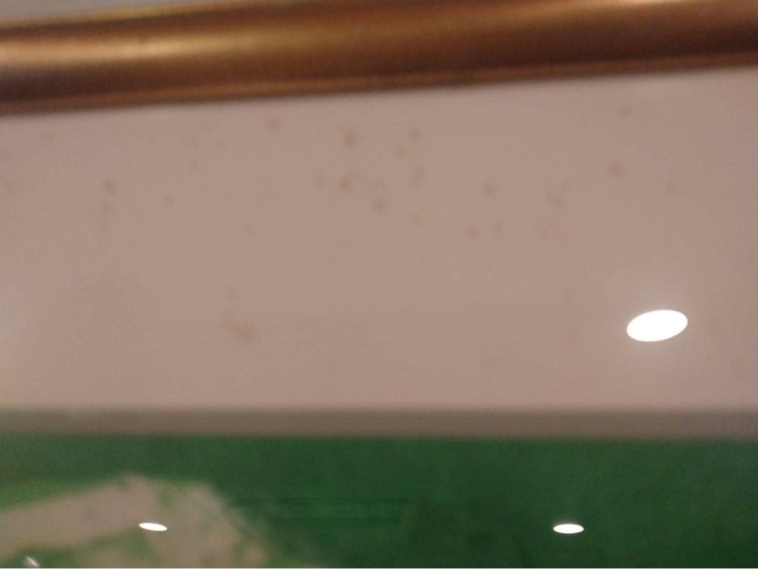 Bernard Cathelinリトグラフの版画作品