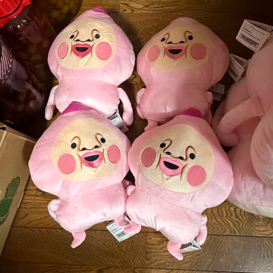 こびとづかん カクレモモジリ　BIGぬいぐるみ　寝そべりBIGぬいぐるみ