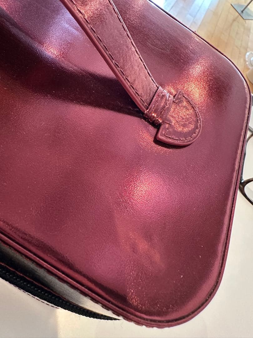 Ruby-Cell 美顔器 専用ケース付き