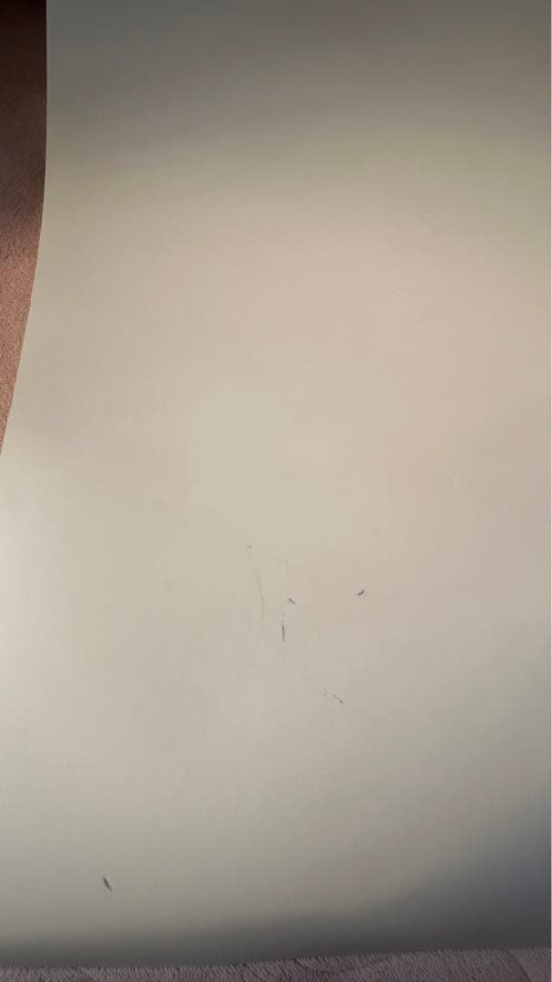 那須川天心直筆サイン入りポスター