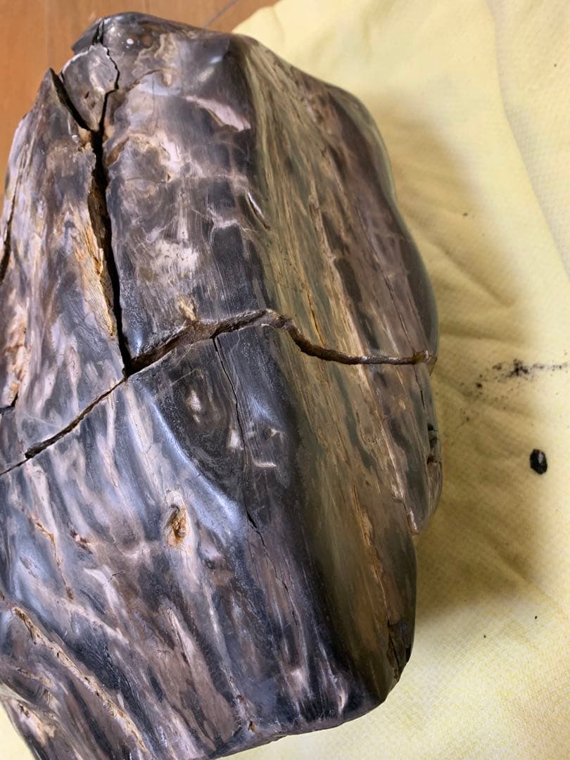 珪化石 木の化石 木化石 鑑賞置物 現状品 ジャンク品