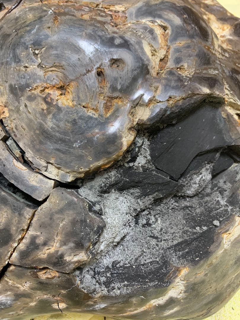 珪化石 木の化石 木化石 鑑賞置物 現状品 ジャンク品