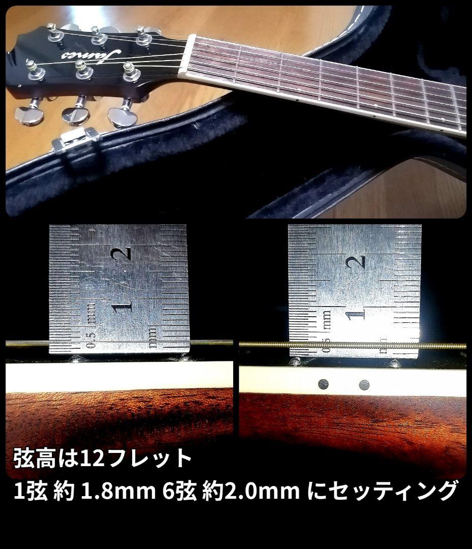 ★エレアコ★James J-450D Ova NAT★新品定価¥56,100