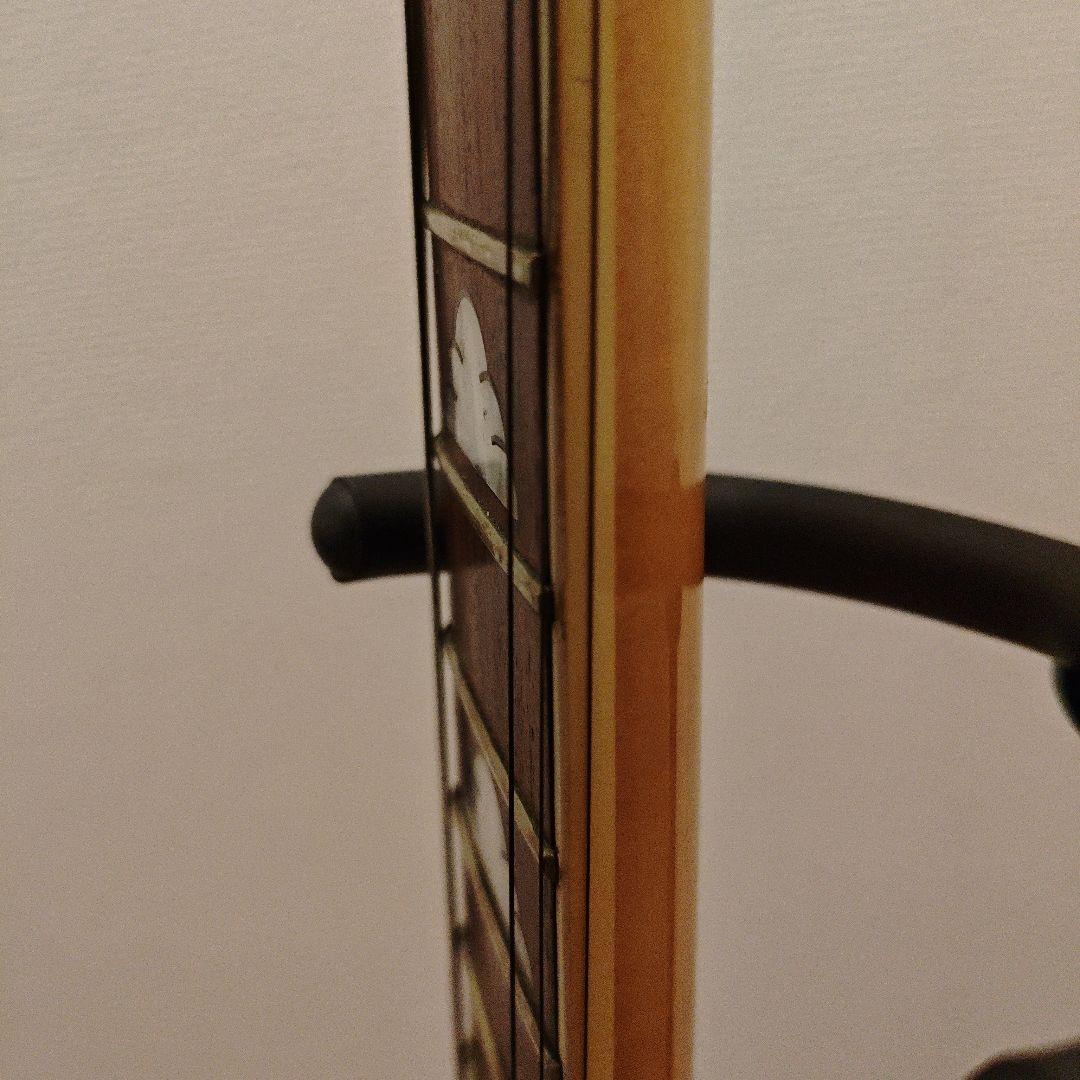 Bunny MG-85X モッキンバード　エレキギター