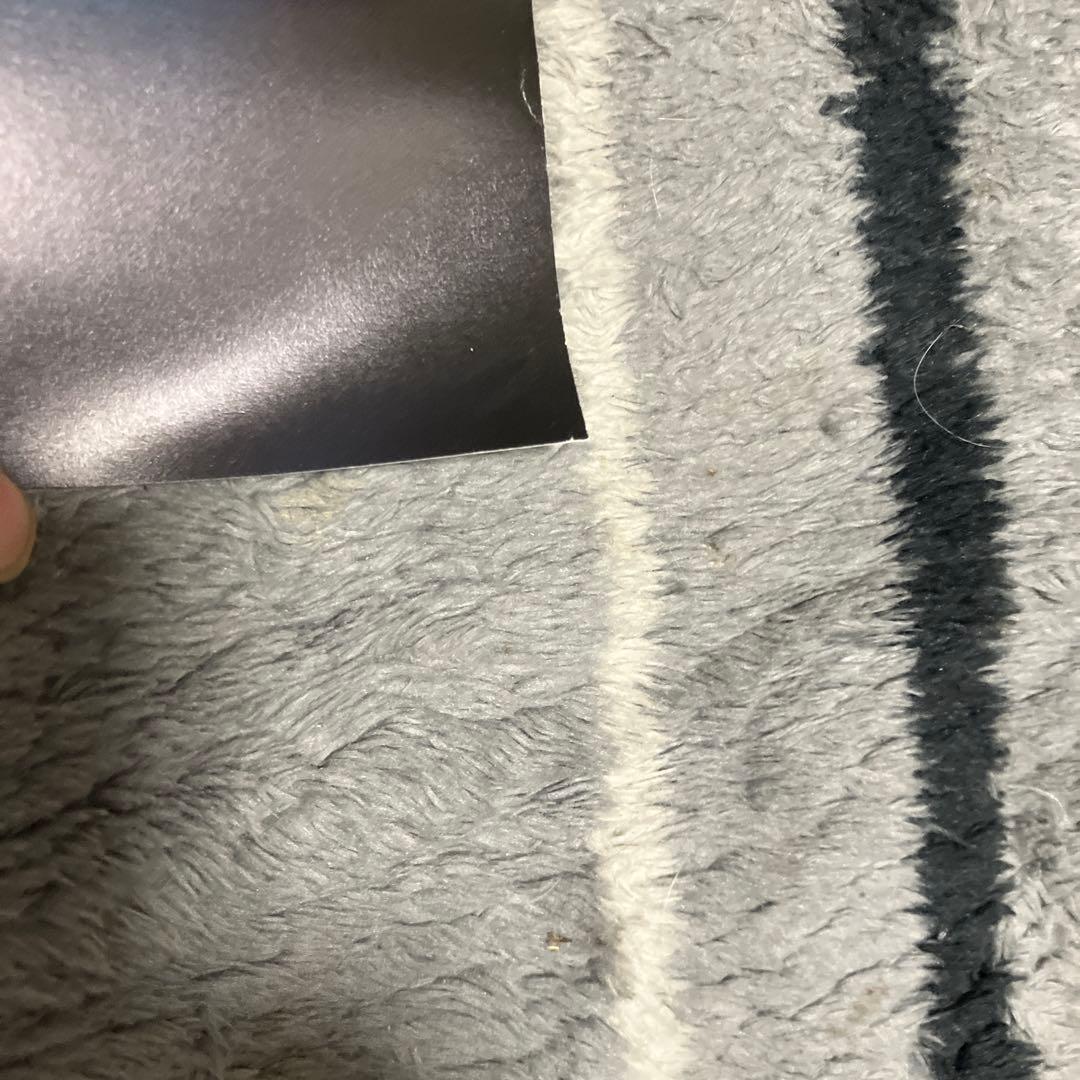 ダリル　ハンナ　ポスター　B2 ブルーイグアナの夜　非売品　洋画