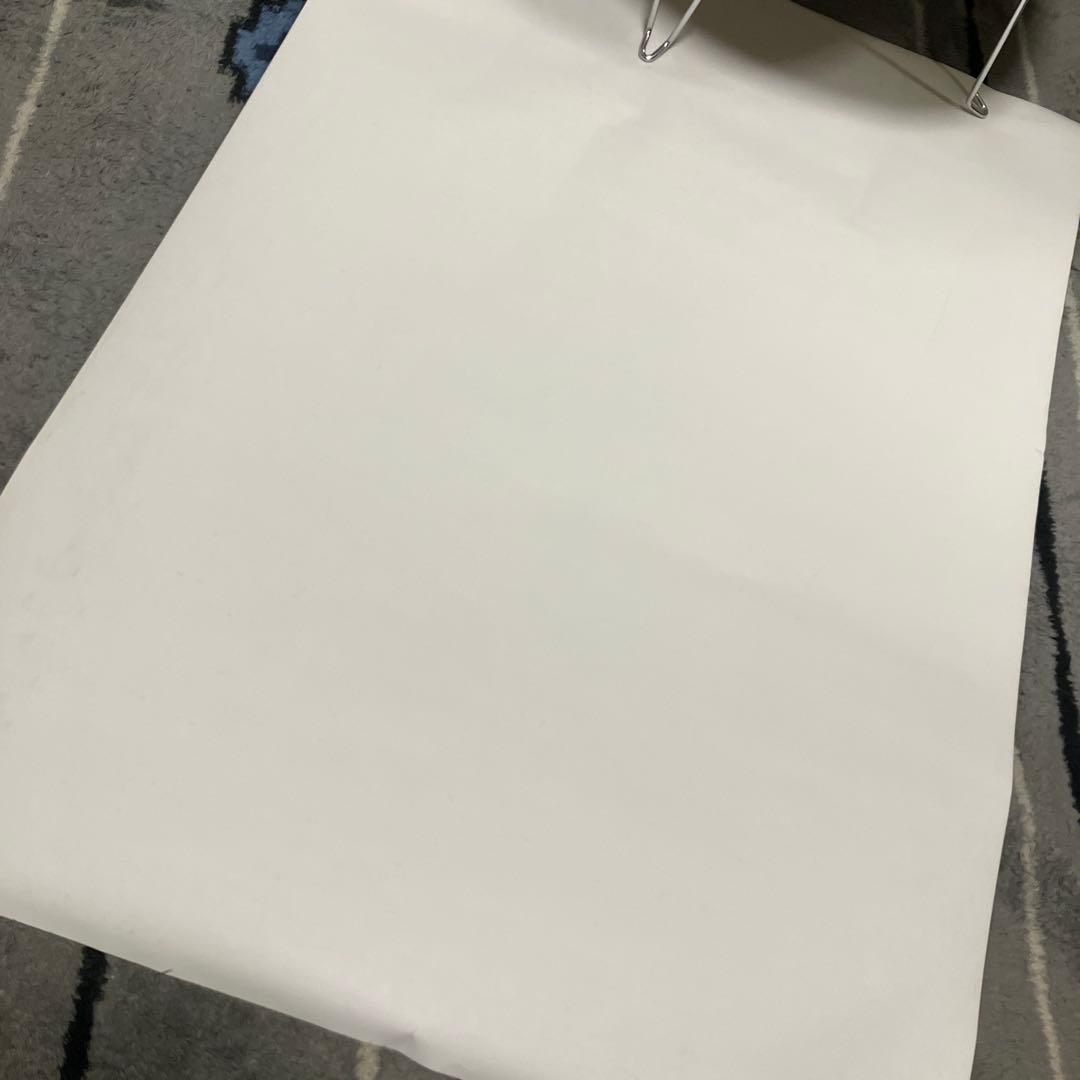 ダリル　ハンナ　ポスター　B2 ブルーイグアナの夜　非売品　洋画