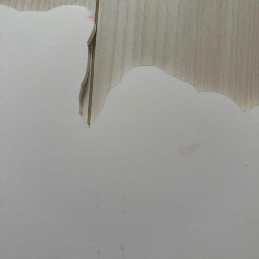 あいみょん　直筆サイン入り　プロップス　10会場分限定